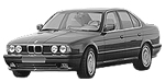 BMW E34 DF209 Fault Code